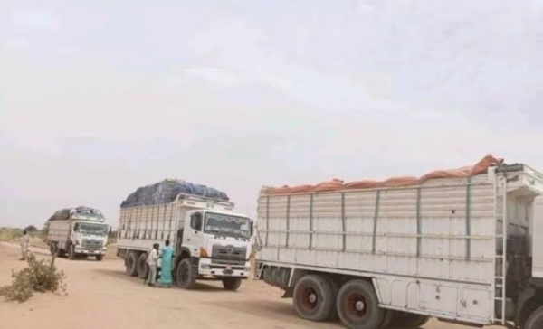 نهب عشرات الشاحنات المحملة بالمحاصيل نهب عشرات الشاحنات المحملة بالمحاصيل