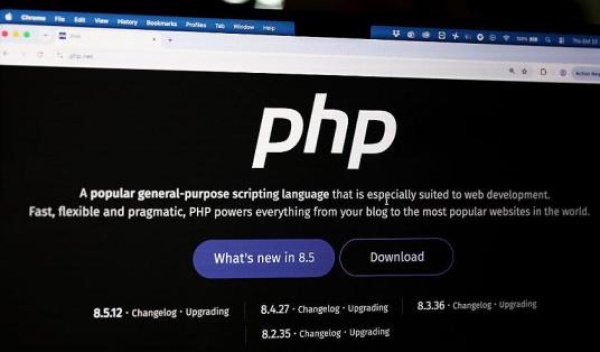 ثغرات برمجية تدفع مؤسسات عالمية إلى تعليق خدماتها