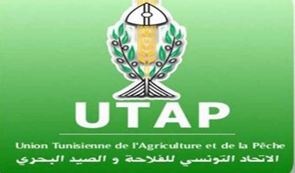 اتحاد الفلاحة ببوعرقوب يطلق صيحة فزع و يوجه نداء عاجل اتحاد الفلاحة ببوعرقوب يطلق صيحة فزع و يوجه نداء عاجل