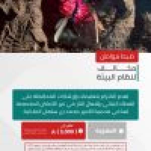 القبض على 3 أشخاص لمخالفتهم الأنظمة البيئية في المملكة القبض على 3 أشخاص لمخالفتهم الأنظمة البيئية في المملكة