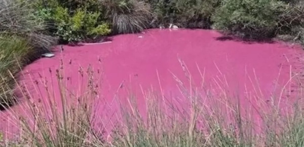 في اليونان البحيرة الوردية تحي ر السلطات في اليونان البحيرة الوردية تحي ر السلطات