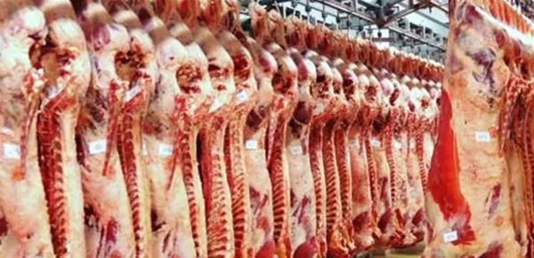 نقابة القصابين وتجار المواشي الرسوم البيئية ترفع كلفة الإنتاج وت شعل الأسعار نقابة القصابين وتجار المواشي الرسوم البيئية ترفع كلفة الإنتاج وت شعل الأسعار