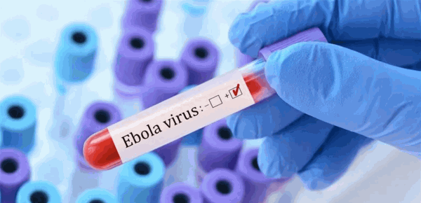 وفيات إيبولا تتجاوز الـ4000 في الكونغو وفيات إيبولا تتجاوز الـ4000 في الكونغو