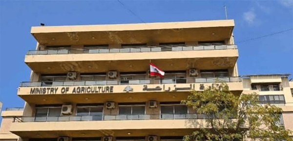 الزراعة تفتح باب اعتماد شركات الرقابة على المنتجات الزراعية المعد ة للتصدير الزراعة تفتح باب اعتماد شركات الرقابة على المنتجات الزراعية المعد ة للتصدير