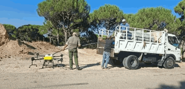 عبر تقنيات حديثة الزراعة تنف ذ حملة لمكافحة آفات الصنوبر المثمر عبر تقنيات حديثة الزراعة تنف ذ حملة لمكافحة آفات الصنوبر المثمر