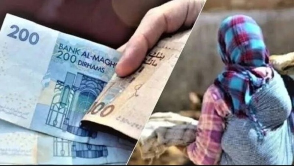 دراسة لوكالة الدعم الاجتماعي الأسر الناشئة تتصدر المستفيدين من الدعم المباشر بأكثر من 1 2 مليون أسرة