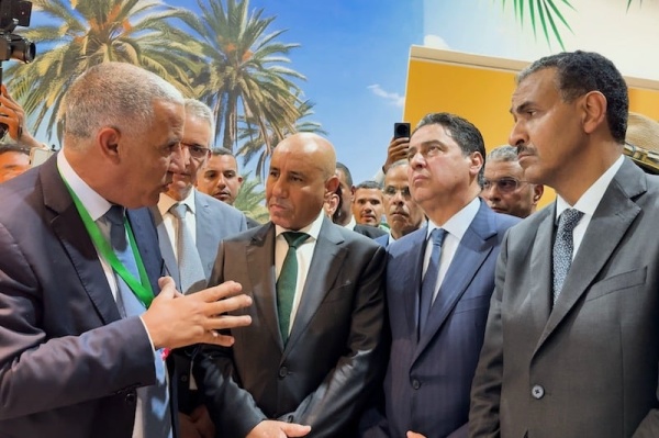 وزير الفلاحة لا يمكن استيراد التمور من أي بلد دون مراعاة مصالح المغرب وزير الفلاحة لا يمكن استيراد التمور من أي بلد دون مراعاة مصالح المغرب
