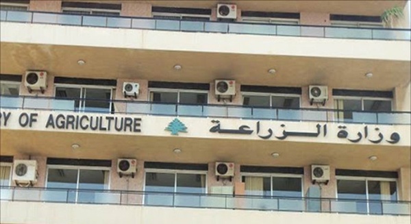 بعد شكاوى المزارعين من حالات مرضية لدى الأبقار في القرعون وزارة الزراعة تتحرك بعد شكاوى المزارعين من حالات مرضية لدى الأبقار في القرعون وزارة الزراعة تتحرك