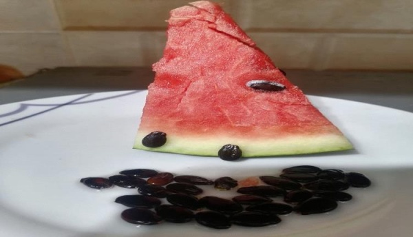 بذور البطيخ كنز غذائي خفي بفوائد صحية متعددة