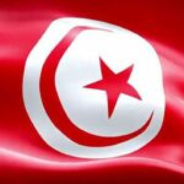 تونس تحيي الذكرى الـ69 لعيد الجمهورية تونس تحيي الذكرى الـ69 لعيد الجمهورية