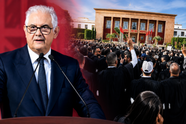 بركة دافعنا عن المحامين ولكن نعتبر أن إضرابهم خطير ويمس مصالح المواطنين فيديو بركة دافعنا عن المحامين ولكن نعتبر أن إضرابهم خطير ويمس مصالح المواطنين فيديو