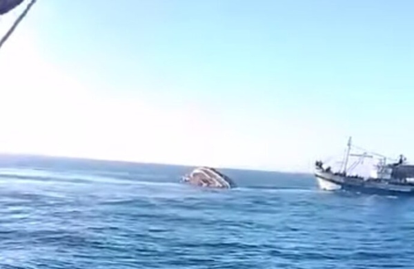 غرق مركب صيد قبالة المهدية ونجاة جميع أفراد طاقمه غرق مركب صيد قبالة المهدية ونجاة جميع أفراد طاقمه