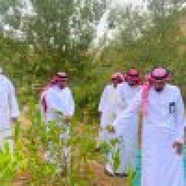 من بني مالك إلى ميسان بيئة مكة توظف ثروات الجبال من بني مالك إلى ميسان بيئة مكة توظف ثروات الجبال