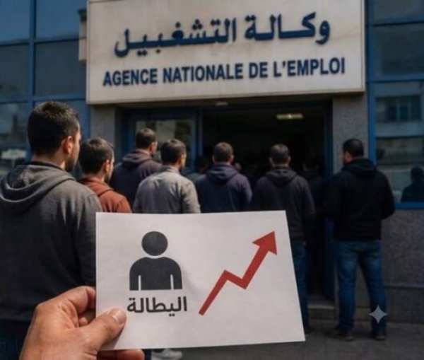 المندوبية ترصد تحسنا في سوق الشغل لكن بطالة الشباب تستقر فوق 27