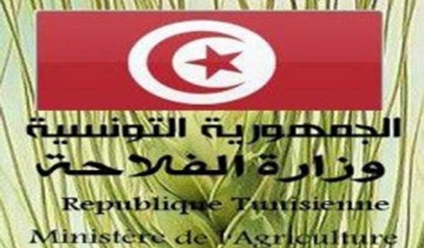 بسبب موجة الحر وزارة الفلاحة توجه نداء هام الى كافة الفلاحين والمنتجين وتحذر بسبب موجة الحر وزارة الفلاحة توجه نداء هام الى كافة الفلاحين والمنتجين وتحذر
