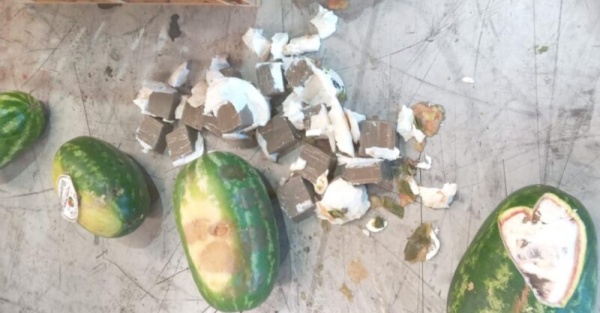 ميناء طنجة المتوسط إحباط محاولة تهريب 350 كيلوغراما من مخدر الشيرا بفاكهة الدلاح