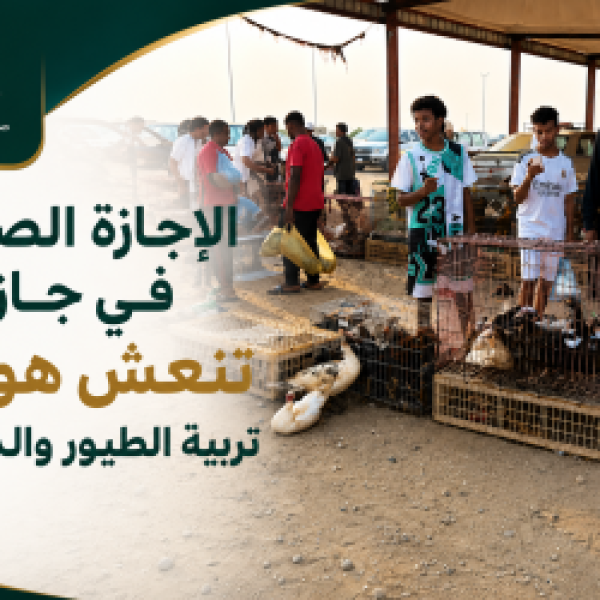 الإجازة الصيفية في جازان تنعش هواية تربية الطيور والدواجن