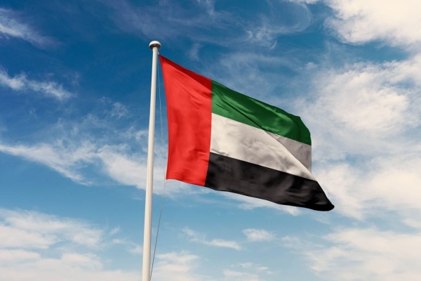 الإمارات تطرح رؤيتها لتعزيز مرونة الاقتصاد العالمي أمام مجموعة العشرين الإمارات تطرح رؤيتها لتعزيز مرونة الاقتصاد العالمي أمام مجموعة العشرين