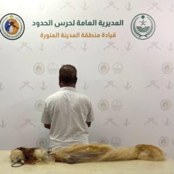 ضبط مخالف للصيد غير النظامي بينبع ضبط مخالف للصيد غير النظامي بينبع