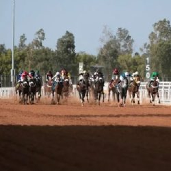 ميدان الملك خالد بالطائف يستضيف 22 شوطا في الأسبوع الثاني لسباقات الخيل ميدان الملك خالد بالطائف يستضيف 22 شوطا في الأسبوع الثاني لسباقات الخيل