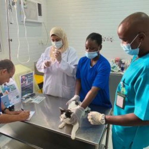 فرع مركز وقاء بمنطقة نجران أطلق حملة لتحصين الحيوانات الأليفة ضد مرض السعار
