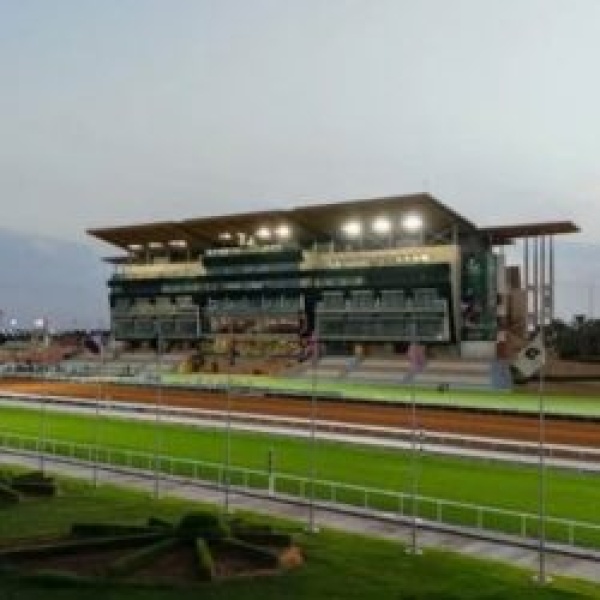غدا انطلاق موسم سباقات الرياض 2026 2027 بجوائز تبلغ 236 3 مليون ريال