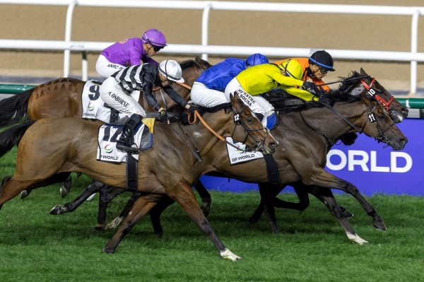 الإمارات لسباق الخيل تعلن مشاركة 1099 خيلا في 2025 2026 الإمارات لسباق الخيل تعلن مشاركة 1099 خيلا في 2025 2026