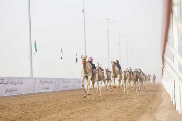 الشاهينية تحلق بلقب أول أشواط الفطامين في العين لسباقات الهجن الشاهينية تحلق بلقب أول أشواط الفطامين في العين لسباقات الهجن