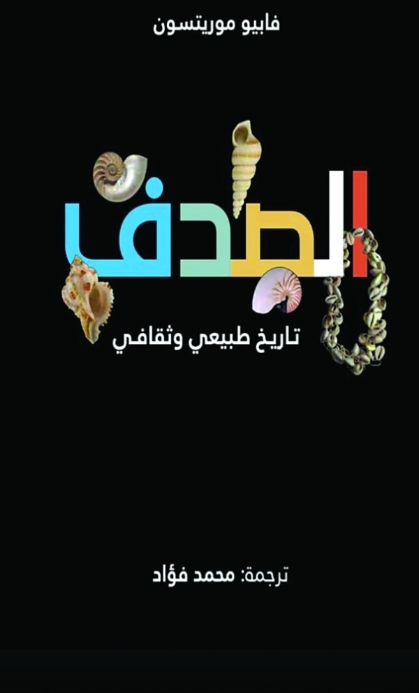 الصدف حكايات حضارية مختبئة في أعماق البحار الصدف حكايات حضارية مختبئة في أعماق البحار