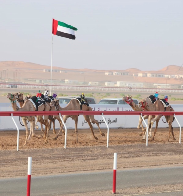 نور و غازي يتألقان بالصدارة وأفضل ترتيب في الثنايا بمهرجان العين نور و غازي يتألقان بالصدارة وأفضل ترتيب في الثنايا بمهرجان العين