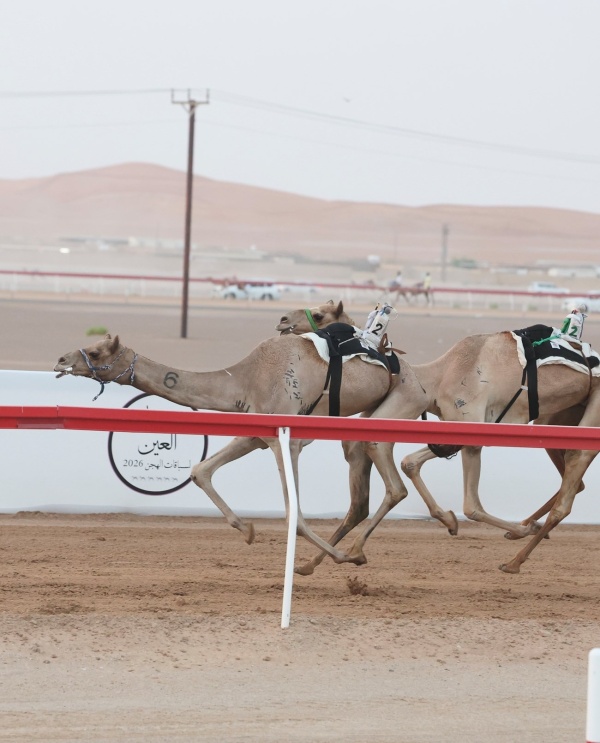 ختام تمهيدي العين للهجن قزوين تحلق بافتتاحية الحول والزمول ختام تمهيدي العين للهجن قزوين تحلق بافتتاحية الحول والزمول