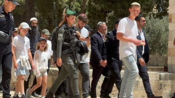 112 مستعمرا يقتحمون المسجد الأقصى 112 مستعمرا يقتحمون المسجد الأقصى