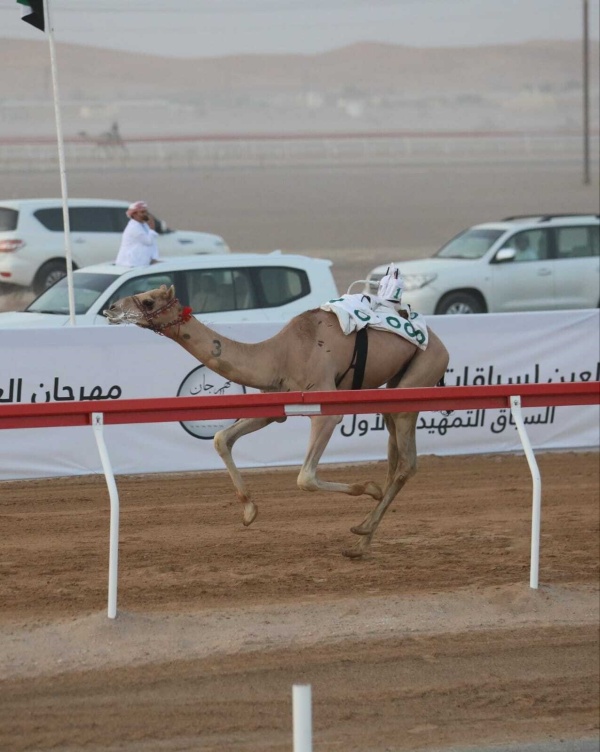 التمهيدي الثاني بمهرجان العين لسباقات الهجن ينطلق 31 يوليو التمهيدي الثاني بمهرجان العين لسباقات الهجن ينطلق 31 يوليو