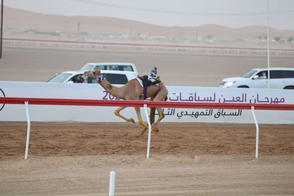 التمهيدي الثالث لمهرجان العين الثاني للهجن ينطلق 11 سبتمبر التمهيدي الثالث لمهرجان العين الثاني للهجن ينطلق 11 سبتمبر