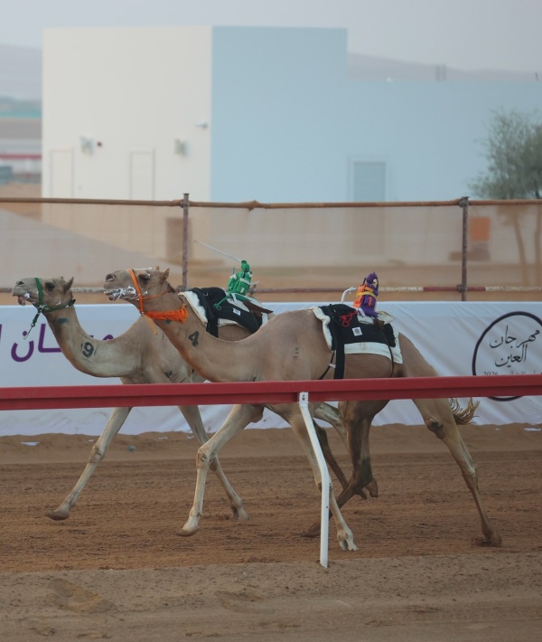 الفهده تحرز ناموس الثنايا في مهرجان العين للهجن