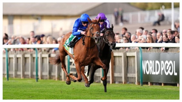 ميوزيكال تايمز تحافظ على سجل خال من الهزائم ميوزيكال تايمز تحافظ على سجل خال من الهزائم