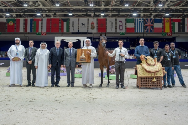 المرابط الإماراتية تحصد 12 لقبا في دولية المغرب لجمال الخيل
