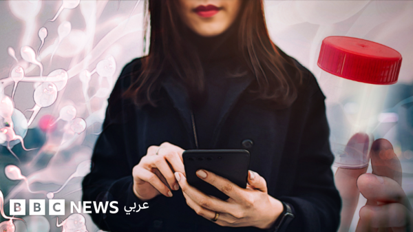 كيف يستغل متبر عون بحيواناتهم المنوية نساء باحثات عن الإنجاب كيف يستغل متبر عون بحيواناتهم المنوية نساء باحثات عن الإنجاب