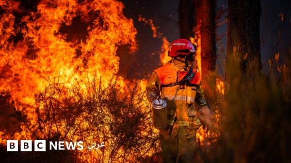 اعتقال المئات على خلفية حرائق الغابات في فرنسا لكن من المسؤول اعتقال المئات على خلفية حرائق الغابات في فرنسا لكن من المسؤول