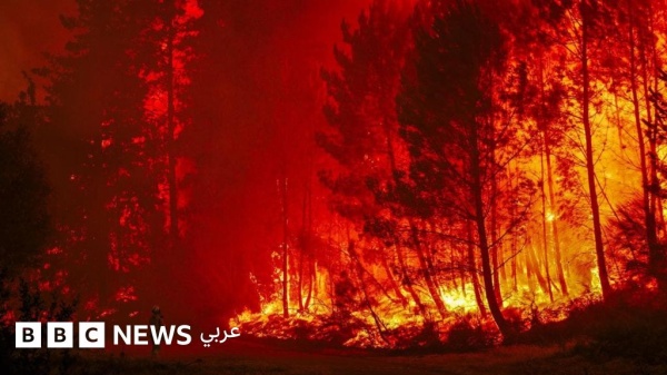 لمن ينكرون حقيقة التغير المناخي الحرائق اندلعت الاندبندنت