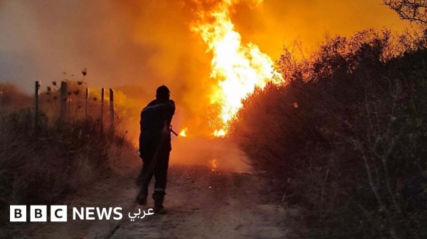 تبون يطالب بإعدام مفتعلي حرائق الجزائر فما العقوبة الحالية تبون يطالب بإعدام مفتعلي حرائق الجزائر فما العقوبة الحالية