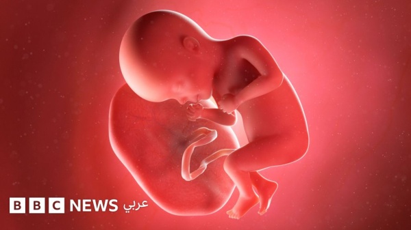 ضبط شبكة لتهريب المشائم البشرية ما علاقتها بحقن مكافحة الشيخوخة ضبط شبكة لتهريب المشائم البشرية ما علاقتها بحقن مكافحة الشيخوخة