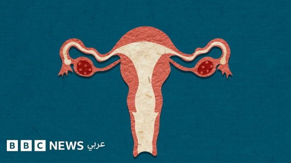 الألم المزمن في منتصف العمر ماذا تواجه المرأة بعد انقطاع الطمث الألم المزمن في منتصف العمر ماذا تواجه المرأة بعد انقطاع الطمث