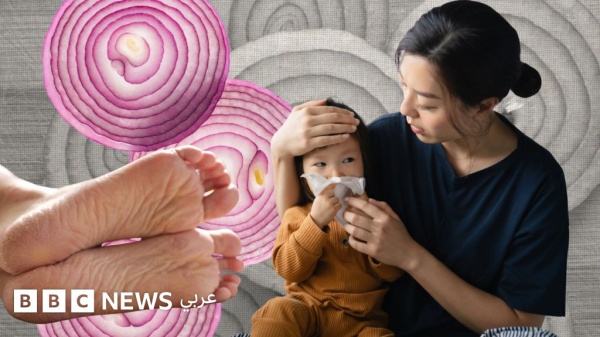 خرافة أم حقيقة هل يساعد وضع البصل الني ئ أسفل القدمين في علاج نزلات البرد