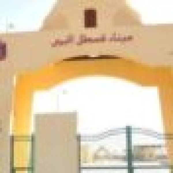 مصر تعلق عبور الشاحنات عبر ميناء قسطل بعد التطورات الأمنية في شمال السودان