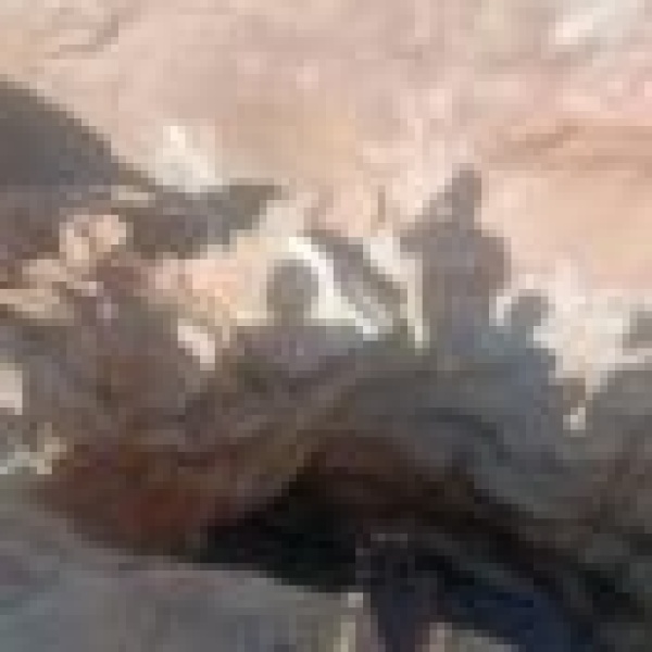 مصرع شخصين وإصابة آخرين بانهيار منجم للتنقيب العشوائي عن الذهب في القضارف مصرع شخصين وإصابة آخرين بانهيار منجم للتنقيب العشوائي عن الذهب في القضارف