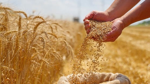 ارتفاع أسعار المواد الغذائية في غشت بسبب الجفاف والحروب