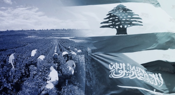 الزراعة اللبنانية نحو الأسواق الخليجية الوزير نزار هاني يراهن عبر هنا لبنان على التعاقد والجودة وخفض الكلفة