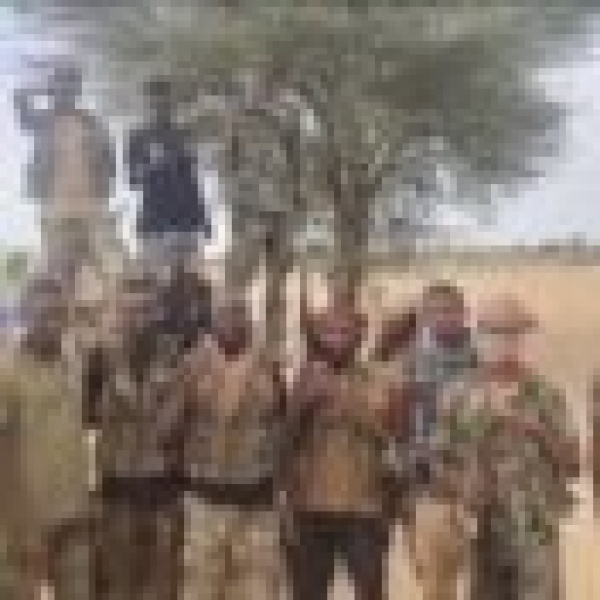 الجيش السوداني يواصل التقدم في شمال كردفان ويتصدى لهجوم بالنيل الأزرق الجيش السوداني يواصل التقدم في شمال كردفان ويتصدى لهجوم بالنيل الأزرق