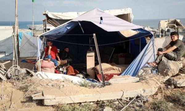 insects and rats turn the lives of displaced people into hell insects and rats turn the lives of displaced people into hell
